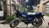 Runner Dulex 80cc